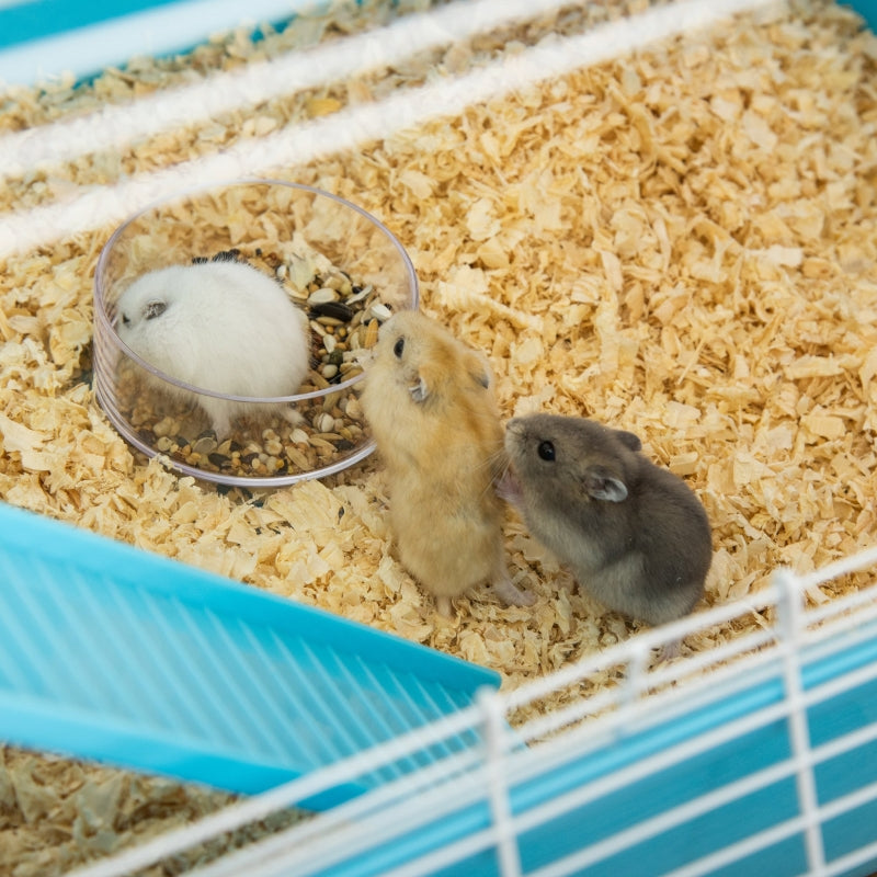 Hamster Cage with Water Bottle, Exercise Wheel, Tubes, Ramps - Light Blue