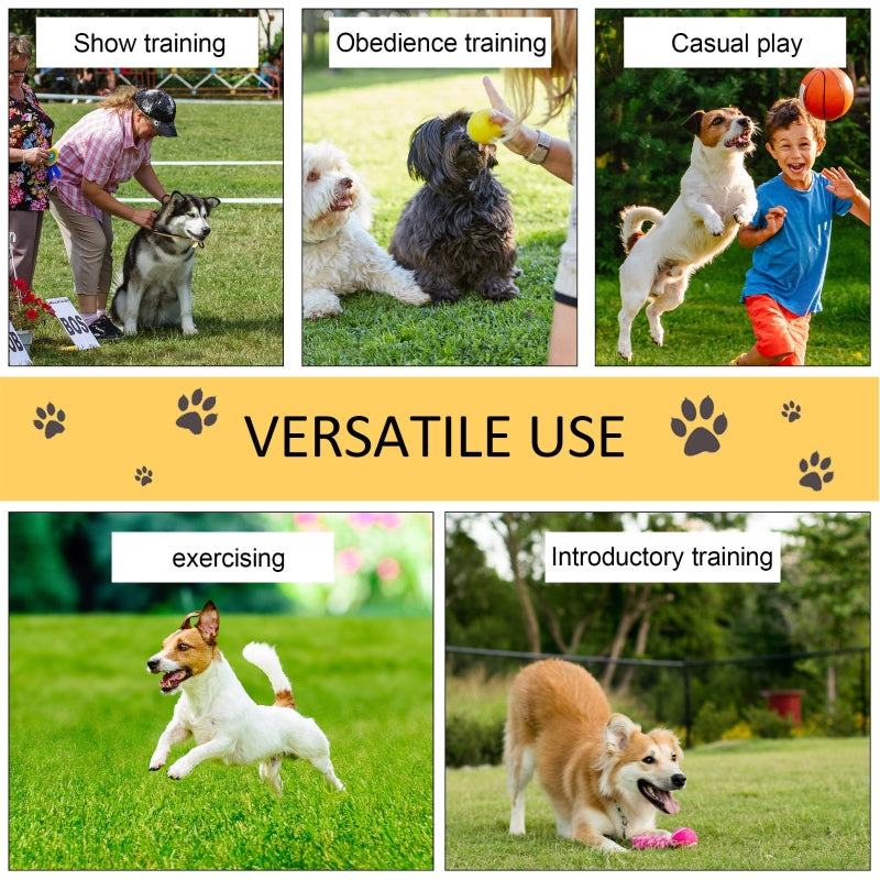 Pet Agility Training Equipment Dog Play Run Obedience Set Adjustable Poles