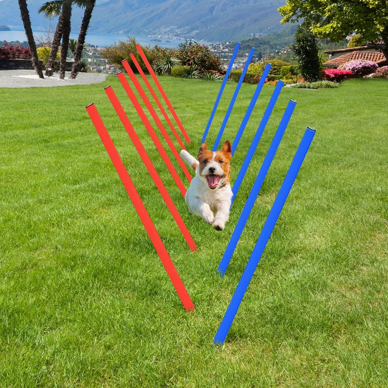 Pet Agility Training Equipment Dog Play Run Obedience Set Adjustable Poles