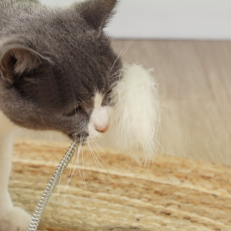 Cat Scratching Post, 49cm 5-in-1 Sisal Post, Track Ball, Self Grooming Brush, Hanging Toy Ball, Feather, Oak Tone