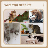 81cm Cat Scratcher, Vertical Full Scratcher with Sisal Rope and Hanging Ball, White