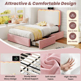 3ft Velvet Upholstered Bed with LED Wavy Headboard - Single Storage Bed with Drawers, Pink & Cream White