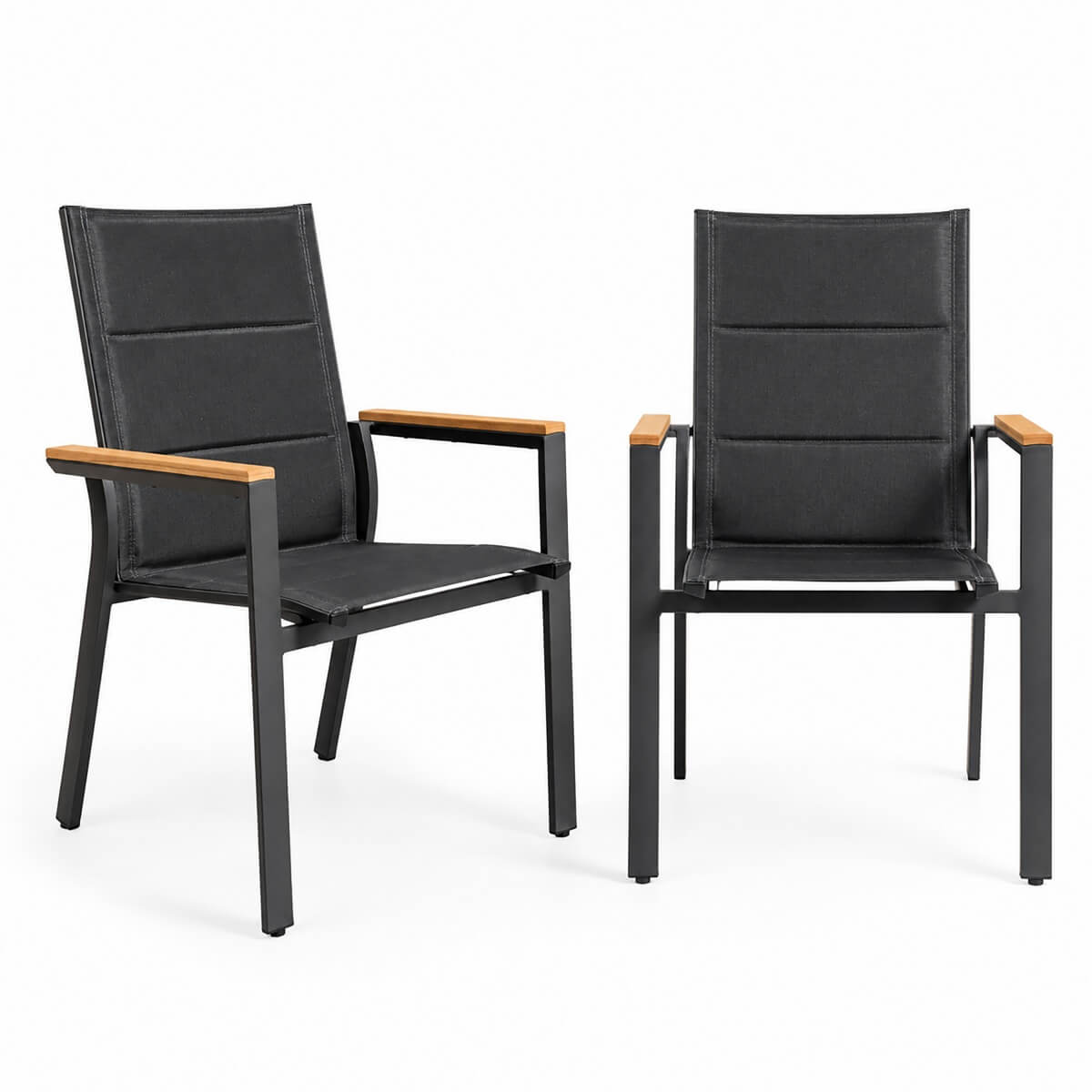 ARVE Dining Chair (Set of 2)
