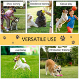 Pet Agility Training Equipment Dog Play Run Obedience Set Adjustable Poles