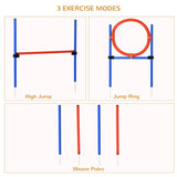 Pet Agility Training Equipment Adjustable Set (Pole + Hoop + Hurdle)