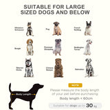 Raised Dog Bed, Elevated Cooling Portable Camping Pet Cot, Black Metal Frame