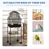 Metal Bird Cage with Plastic Swing, Perch, Food Container, Tray, Handle