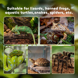 Glass Reptile Terrarium Breeding Tank Vivarium Habitats with Thermometer - Small