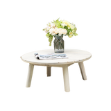 Solid Wood Coffee Table