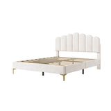4ft6 Double Velvet Bed Frame - Scalloped Tufted Headboard, Adjustable Height, Gold Legs, Beige